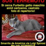 Amatrice_FURBETTO